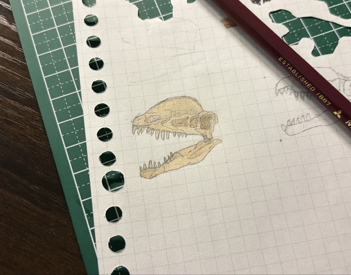 Mmtnk_4's tweet photo. 上手く描けたの嬉しくってー！ https://t.co/tMtgfNM8OW