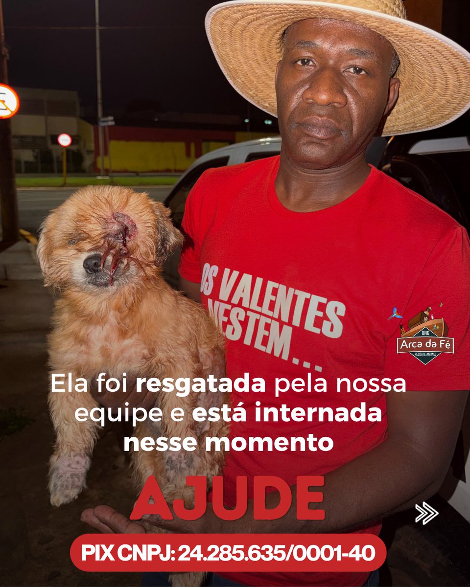 DeboraLopesMV's tweet photo. Ajude a pipoca 🐾🐶

Sua contribuição faz a enorme diferença, ela está internada e precisando de cuidados diários. Faça parte dessa linda história ♥️

Doe através do PIX CNPJ: 24.285.635/0001-40 e envie o comprovante pelo whats 📲 https://t.co/7DKHjlmtIG https://t.co/kCtTaLUdoE