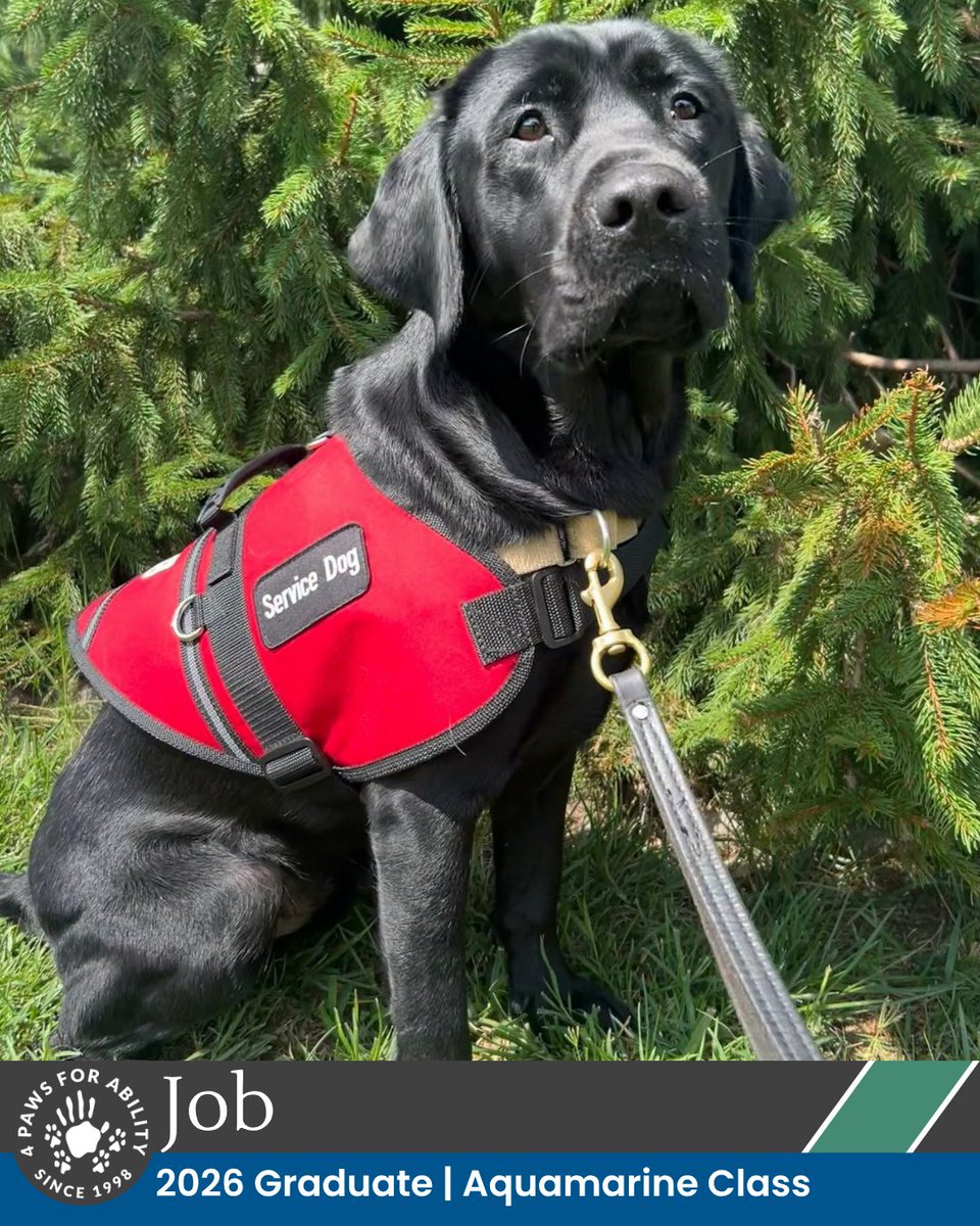 4PawsForAbility's tweet photo. This Friday, the Aquamarine Class graduates will go home with their families to start their service dog careers! 💙 The Aquamarine Class is sponsored by Jim &amp; Toni Roth. https://t.co/h6VYvWLfVI