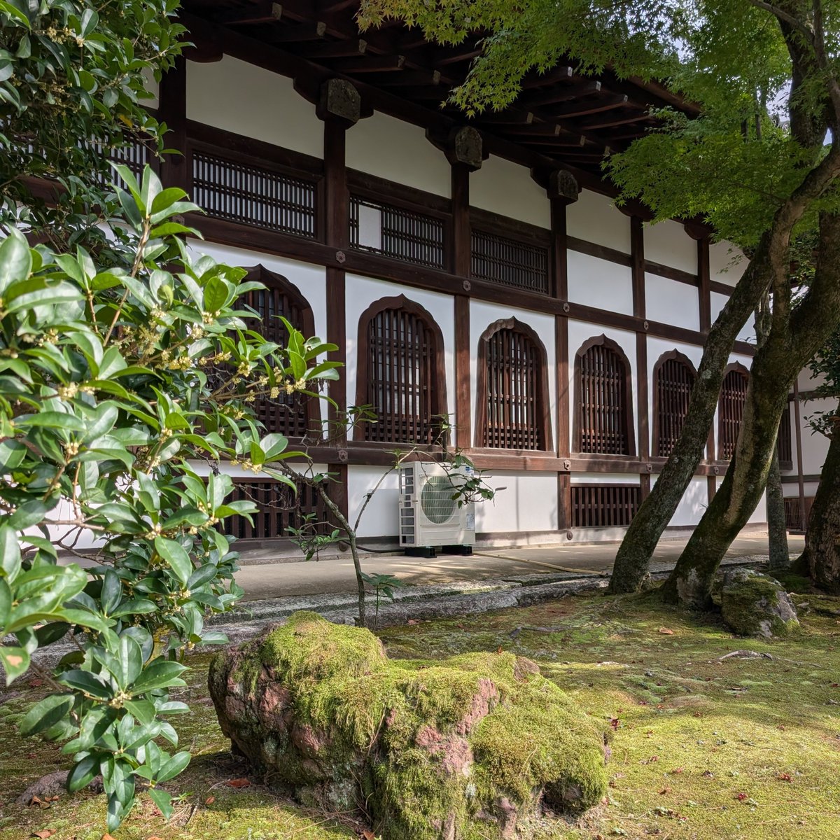 LOVOT19758790's tweet photo. #知恩院 #お彼岸 https://t.co/YnX9rAzEN4