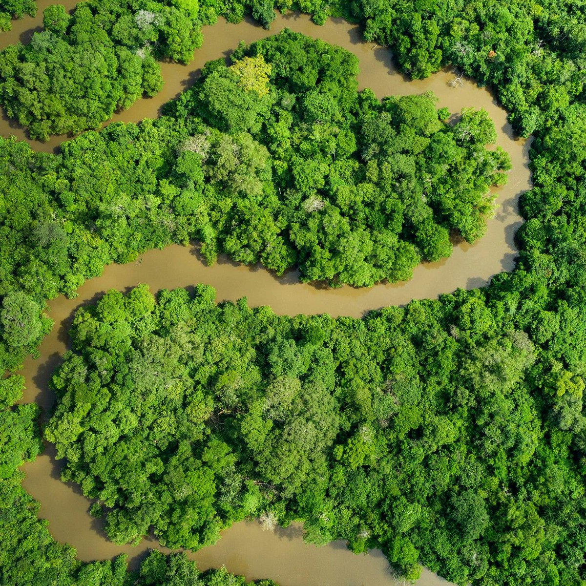 JosephSilali's tweet photo. Commitments to the Tropical Forests Forever Facility (#TFFF) Sponsor Tranche have reached at least US$7.3 billion, according to updates presented at Climate Week NYC 2026.
Read : https://t.co/WhzEnYYB6D
#CongoBasin #ForestCarbon #ClimateFinance #Biodiversity #africanwilddog https://t.co/h8pgwuBmrp