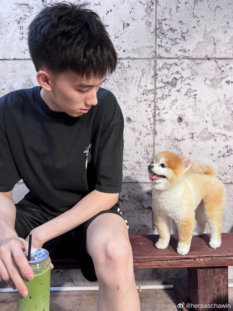 beamthxnasan's tweet photo. ปิ๊งป่องอยากหม่ำชาเขียวอ๊ะป่าวว ? ( 🐶🍵 )

#heroaschawin ; @heroaschawinn https://t.co/4VrSSzkDvr