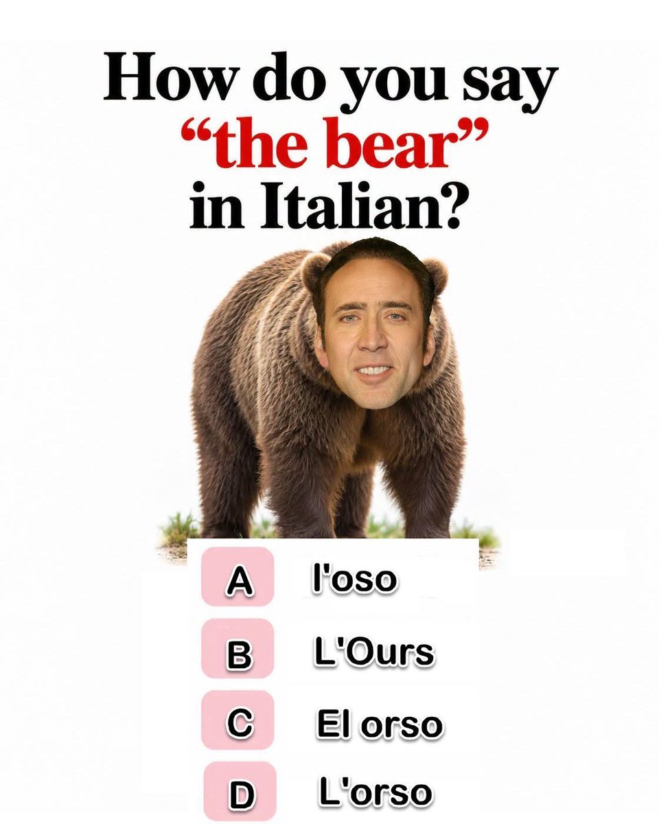 ItalianLearners tweet picture
