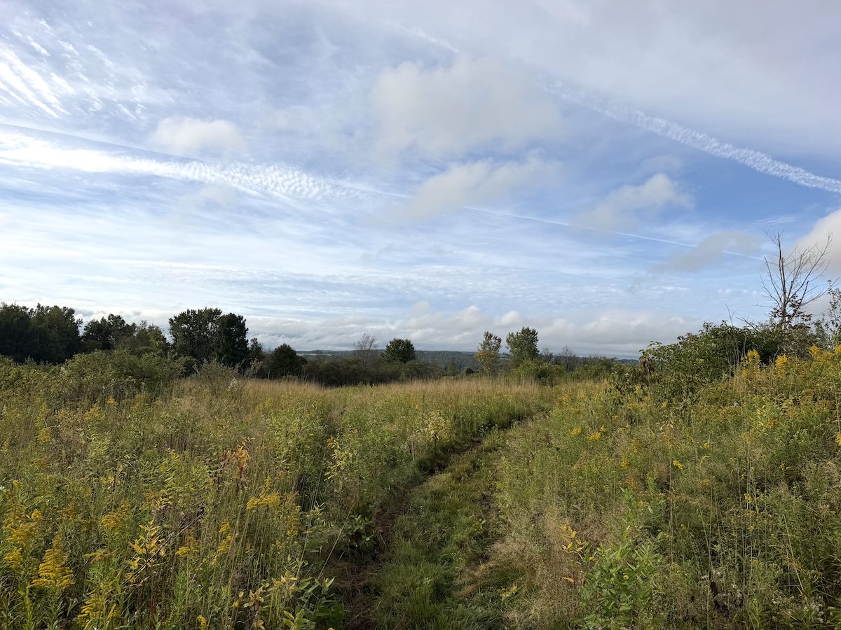 NYLandQuest's tweet photo. 13 acre BUILDING SITE and Recreational Land in South Dayton NY.  Perfect spot for your new home or cabin with beautiful valley views!  Land is half wooded and half open field.  $52,900.  https://t.co/CNtw4mzu4Q @NYLandQuest #buildingsite #views #woods #hunting #nylandforsale https://t.co/VyWDPlXQ1O