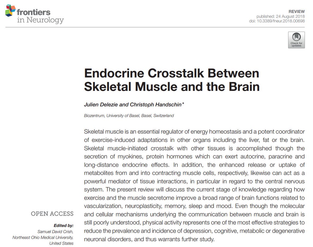 NTFabiano's tweet photo. Every workout lets your muscles talk to the brain to improve neuroplasticity, memory and mood.

The gym bros were right. https://t.co/7dbcZBQEE7