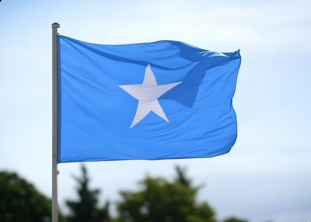 Deee_luul's tweet photo. The whole world is joining us against the separatists now. 🤣

My entire timeline is basically people from all over the world, in different languages, going after the separatists. 🤣

As someone who advocates for Somalia’s unity, I never imagined I’d see something like this.

Somalia is ONE. ☝🏽