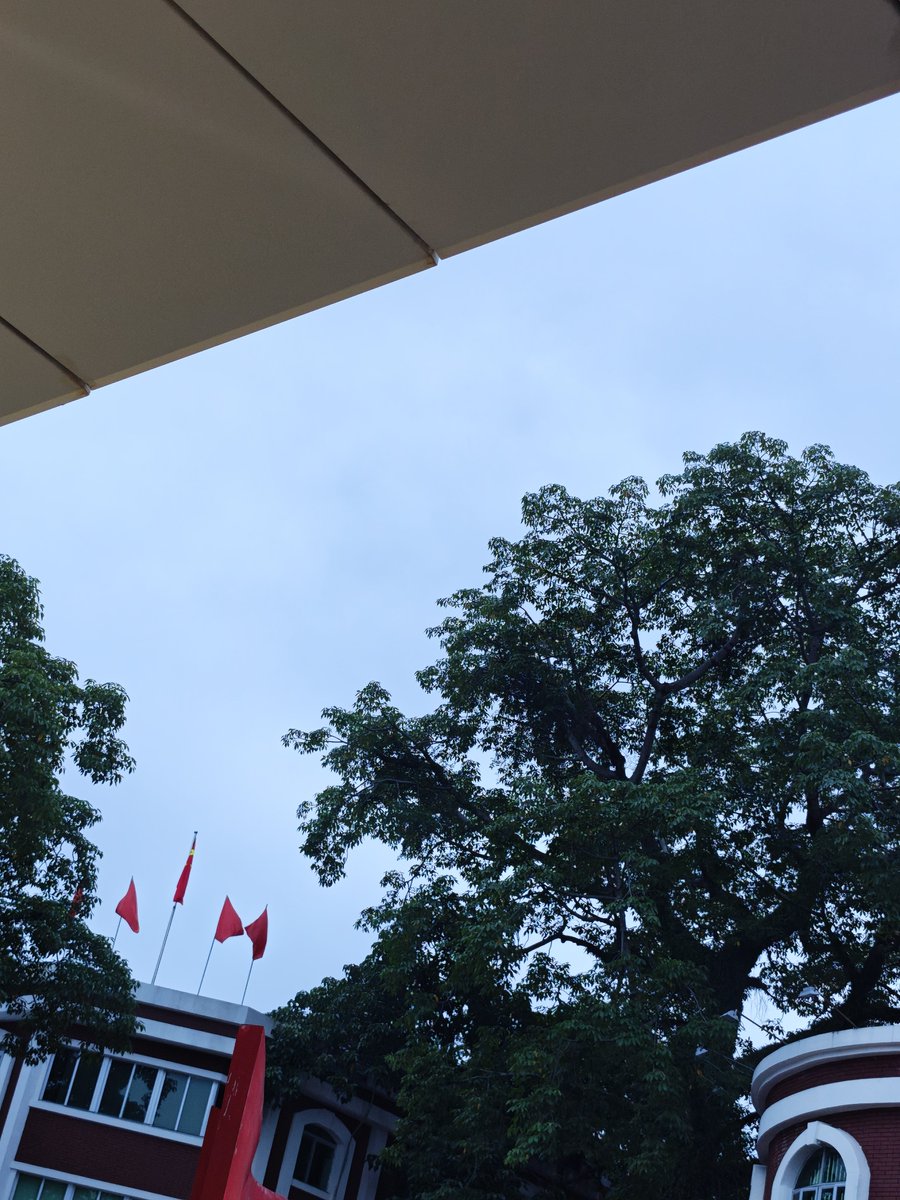 juzimmmTT's tweet photo. 我并不喜欢待在学校 我不认识任何一个同学 他们也不会给我发试卷 也不收我的作业 有我和没我其实都一样。 https://t.co/62RbjGvycM