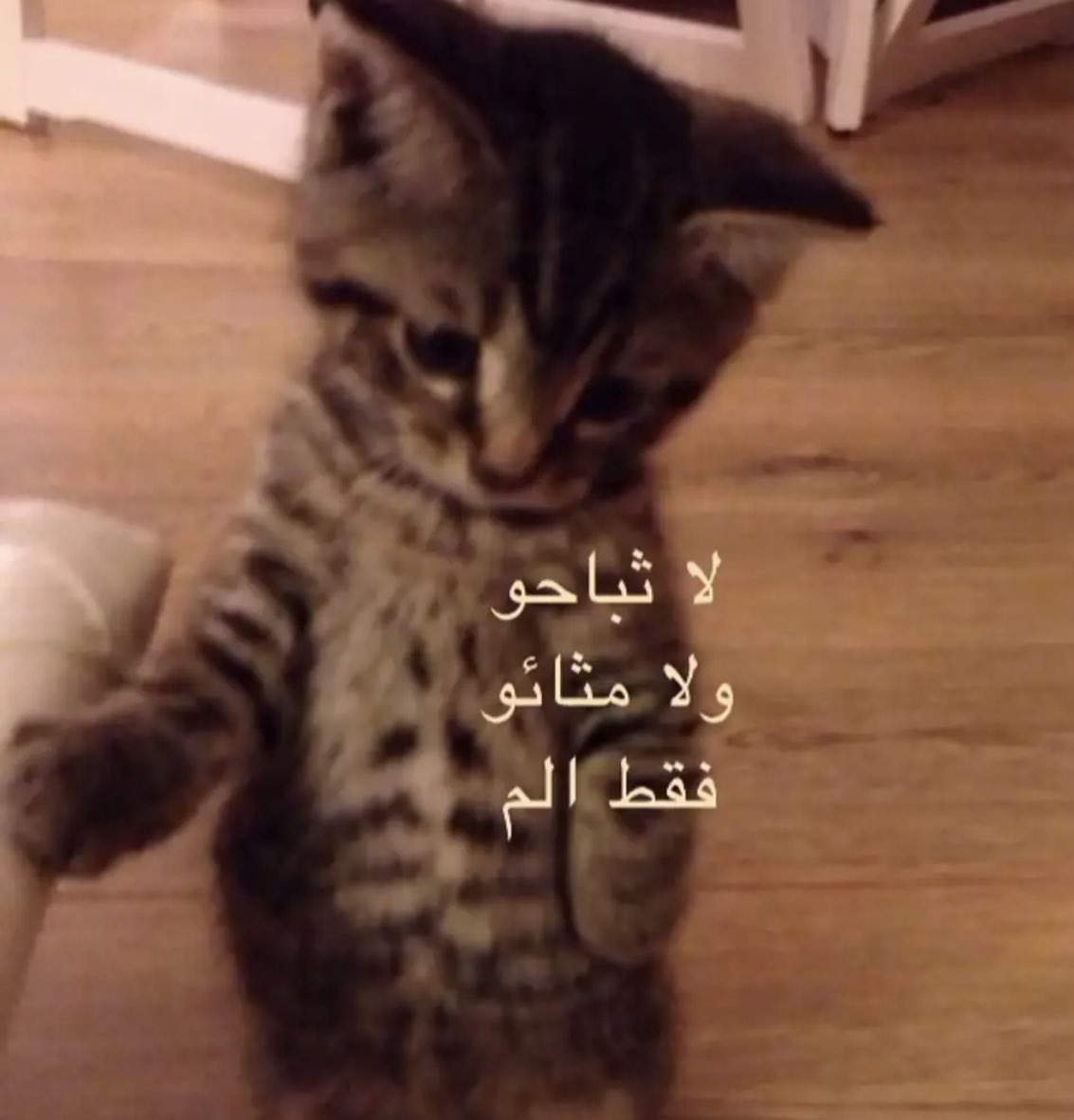 QueenSisi24's tweet photo. https://t.co/OzeM6ZxAtH