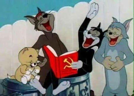 MiraCosasCL's tweet photo. @JM_LatorreChile Sabiduria popular dijo???? Jajajajaja.. https://t.co/ncYuEK4hg9