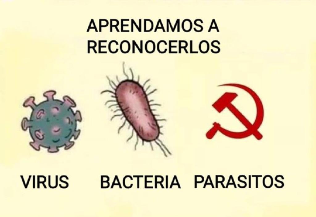 MiraCosasCL's tweet photo. @JM_LatorreChile Sabiduria popular dijo???? Jajajajaja.. https://t.co/ncYuEK4hg9