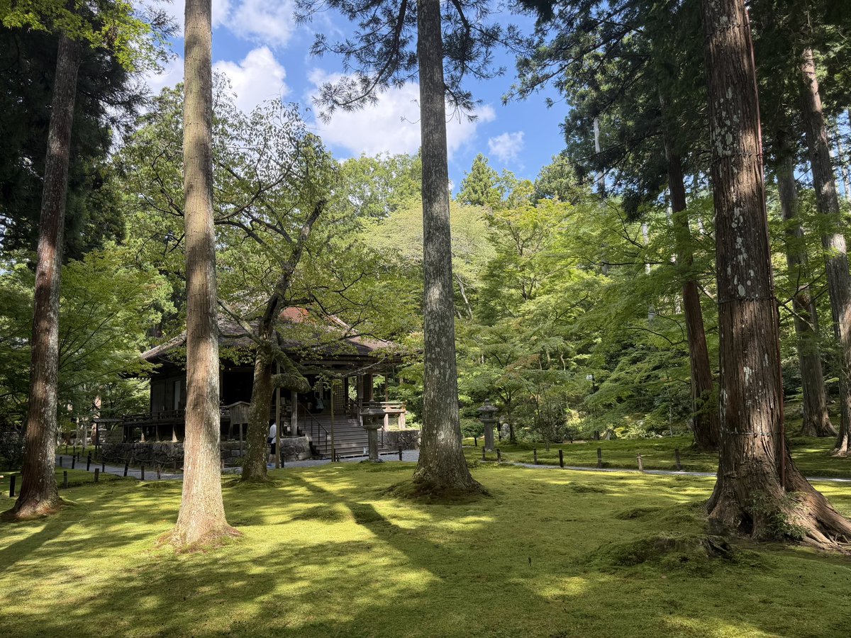 IshiMcCartney's tweet photo. 今回はライブと式場飯がメインやったが、
空いた時間で三千院へ。
緑が綺麗やった。やはり京都よ。 https://t.co/FsnURLESFP