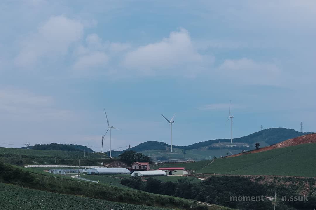 abigailmar2mcb's tweet photo. I’m heading to where the wind blows, where the sunlight shines brightly. Letting the wind carry me there, I naturally think of this song. On a night when I desperately long for a cool breeze, this place, heated by the day’s scorching sun, still https://t.co/ohGtpaLNeB