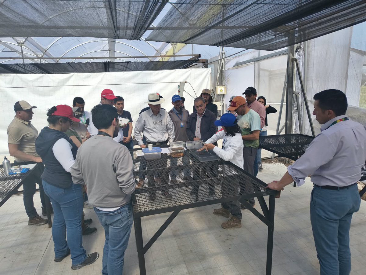 SomosAGROSAVIA's tweet photo. Estudiantes del curso virtual sobre sistemas Silvopastoriles en tropico alto participaron de un dia de campo en donde se ampliaron conceptos y realizaron actividades prácticas en temas de semillero forestal, reconocimiento de especies, diseño y establecimento de arreglos arbóreos, y manejo de la chinche de los pastos. El evento fue liderado por el equipo del Plan de Vinculación de alimentacion bovina Fase II del #CITibaitatá con el apoyo de profesionales de @Fedegan