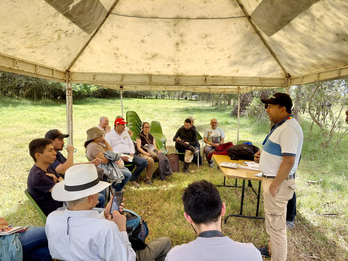 SomosAGROSAVIA's tweet photo. Estudiantes del curso virtual sobre sistemas Silvopastoriles en tropico alto participaron de un dia de campo en donde se ampliaron conceptos y realizaron actividades prácticas en temas de semillero forestal, reconocimiento de especies, diseño y establecimento de arreglos arbóreos, y manejo de la chinche de los pastos. El evento fue liderado por el equipo del Plan de Vinculación de alimentacion bovina Fase II del #CITibaitatá con el apoyo de profesionales de @Fedegan