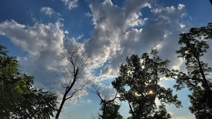 treemissions's tweet photo. Trees don’t just exhale oxygen.
They release microscopic chemicals (sesquiterpenes) that seed clouds. Scientists discovered that adding just 2% of these molecules can DOUBLE cloud formation.
Forests are quietly engineering the weather itself.🌳 
Nature’s original climate machine! https://t.co/E80JIK4ebV