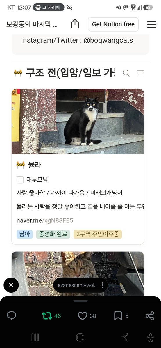 animalrtaccount's tweet photo. 우리은행 1002-762-420255 (김유진)
임보처 급한 아이들입니다
알티부탁해요
5일내로 구조되지않으면 생매장입니다
제발 알티 https://t.co/GGVORol4fl