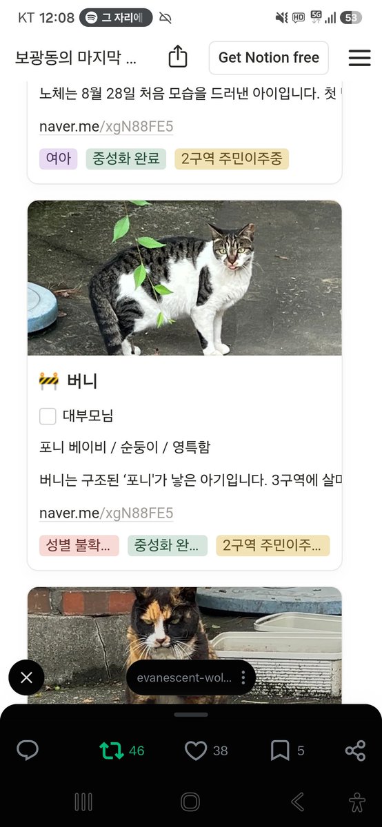 animalrtaccount's tweet photo. 우리은행 1002-762-420255 (김유진)
임보처 급한 아이들입니다
알티부탁해요
5일내로 구조되지않으면 생매장입니다
제발 알티 https://t.co/fhebJpVvBF