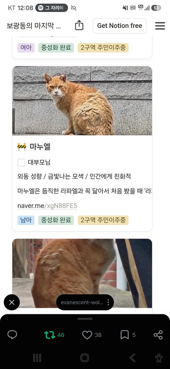 animalrtaccount's tweet photo. 우리은행 1002-762-420255 (김유진)
임보처 급한 아이들입니다
알티부탁해요
5일내로 구조되지않으면 생매장입니다
제발 알티 https://t.co/fhebJpVvBF