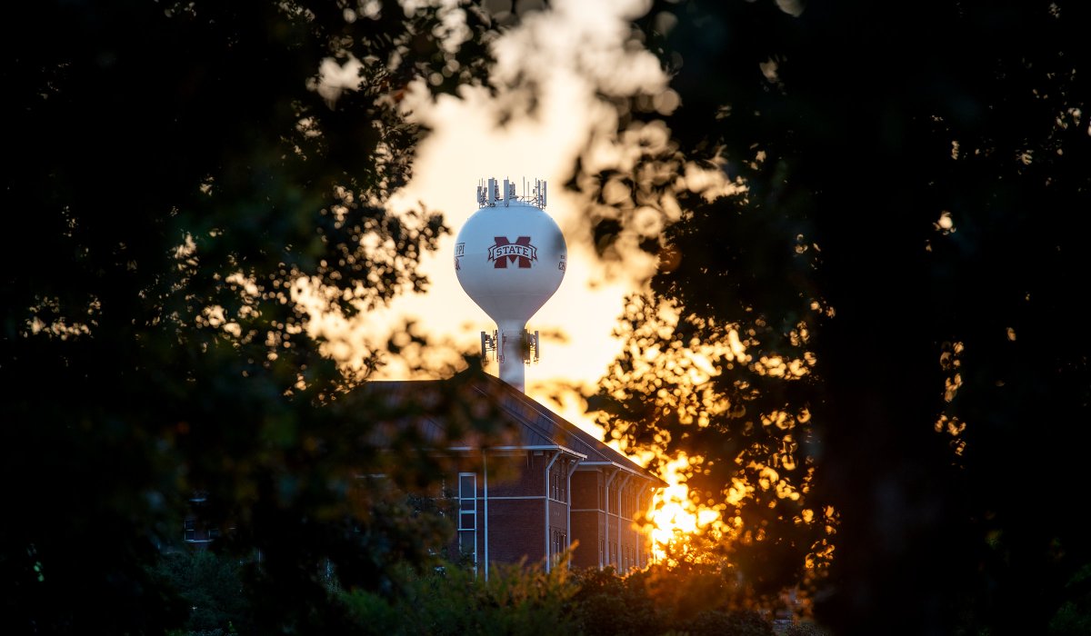msstate tweet picture