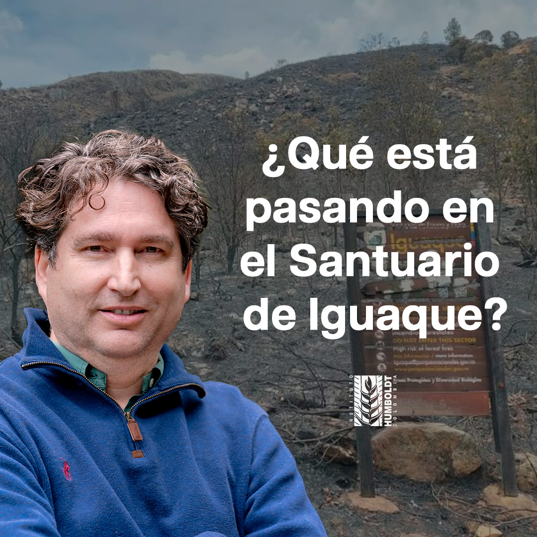 inst_humboldt's tweet photo. #LaVozDelHumboldt🎙️ 
Hernando García, director del Instituto Humboldt, nos explica qué ha ocurrido en la emergencia por los incendios forestales en Boyacá y la lucha por salvar los ecosistemas de bosque y páramo del Santuario de Flora y Fauna de Iguaque.
https://t.co/wHCt0gH0KA https://t.co/o05eGZeYTb