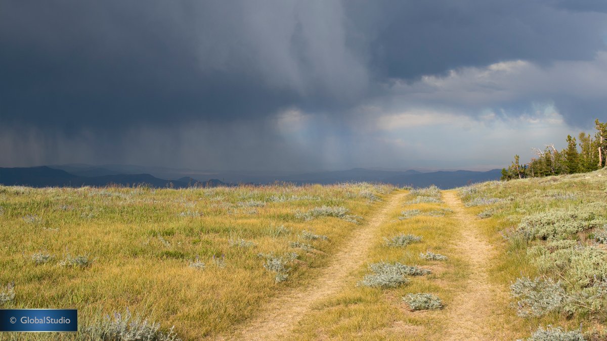 M_K_Reynolds's tweet photo. THE ROAD LESS TRAVELED
Looking for wall art? Click to view this and the entire Michael K. Reynolds collection exclusively at the Global Studio Photography Gallery.
#Photography #MetallicPrints #GlobalStudio
https://t.co/EpG73LfmFx https://t.co/SAzXspFZZ6