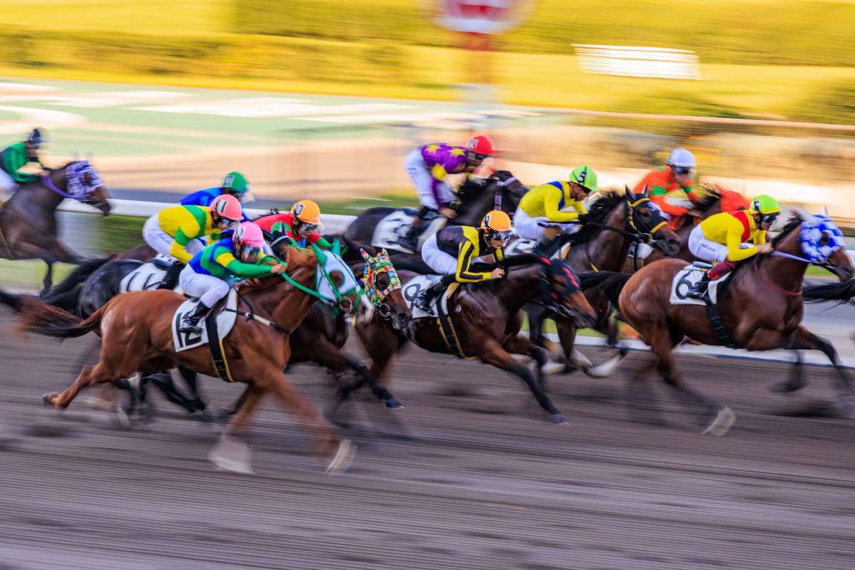 be__11_k's tweet photo. 競馬場は賭けるところではなく、馬を撮るところ https://t.co/UEUWBTpliN