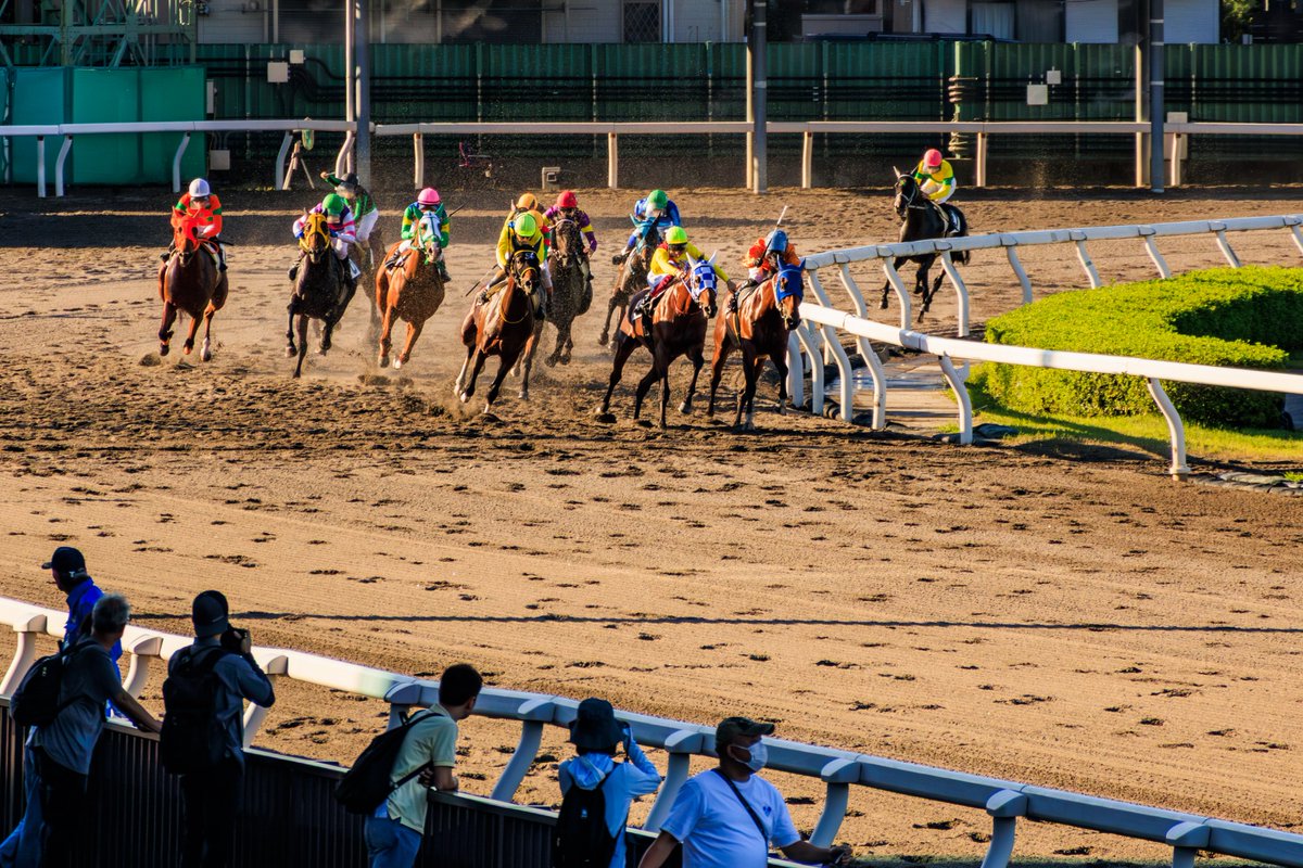 be__11_k's tweet photo. 競馬場は賭けるところではなく、馬を撮るところ https://t.co/UEUWBTpliN