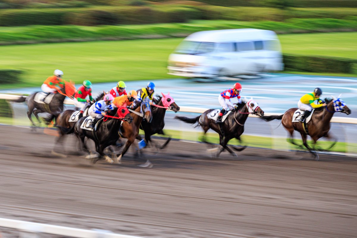 be__11_k's tweet photo. 競馬場は賭けるところではなく、馬を撮るところ https://t.co/UEUWBTpliN