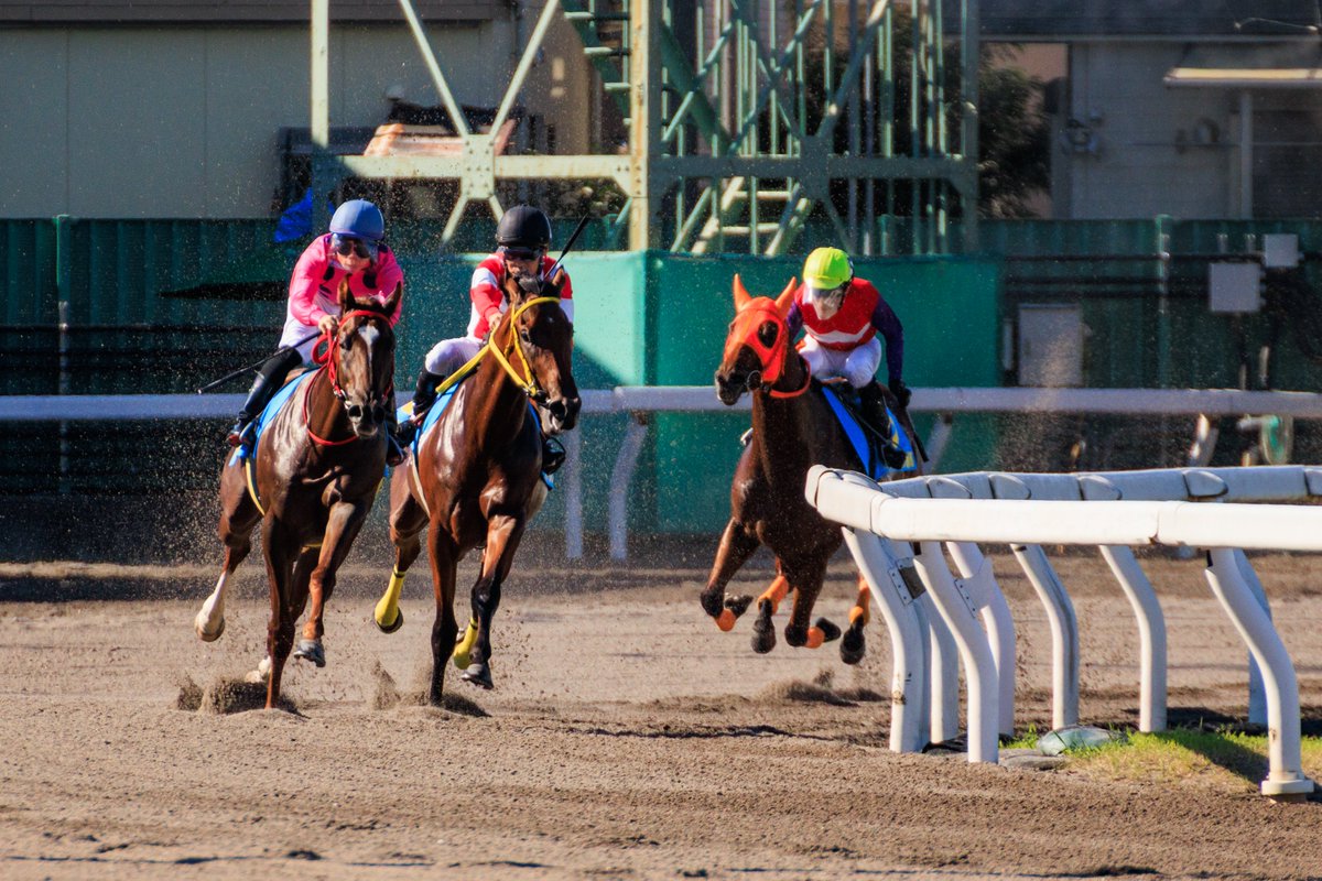 be__11_k's tweet photo. 競馬場は賭けるところではなく、馬を撮るところ https://t.co/UEUWBTpliN