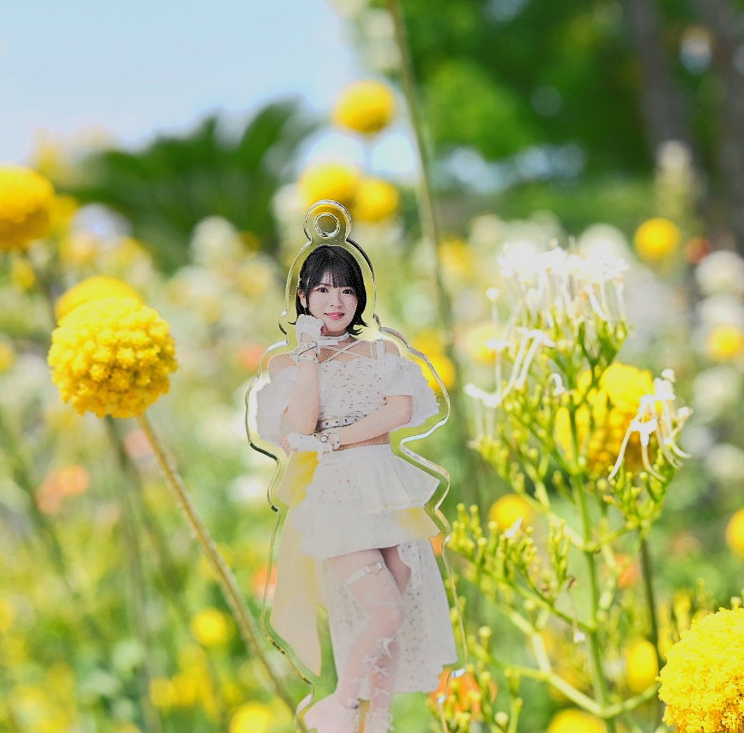 ichiro_2525's tweet photo. 皆さん、街中でのハロプロ楽曲エピソード話してくれてありがとうございました！

武道館ライブに向けて #バンドで武道館満開計画 でも投稿するね！

#浮かレディオ #つばきファクトリー https://t.co/COAVK2tftV