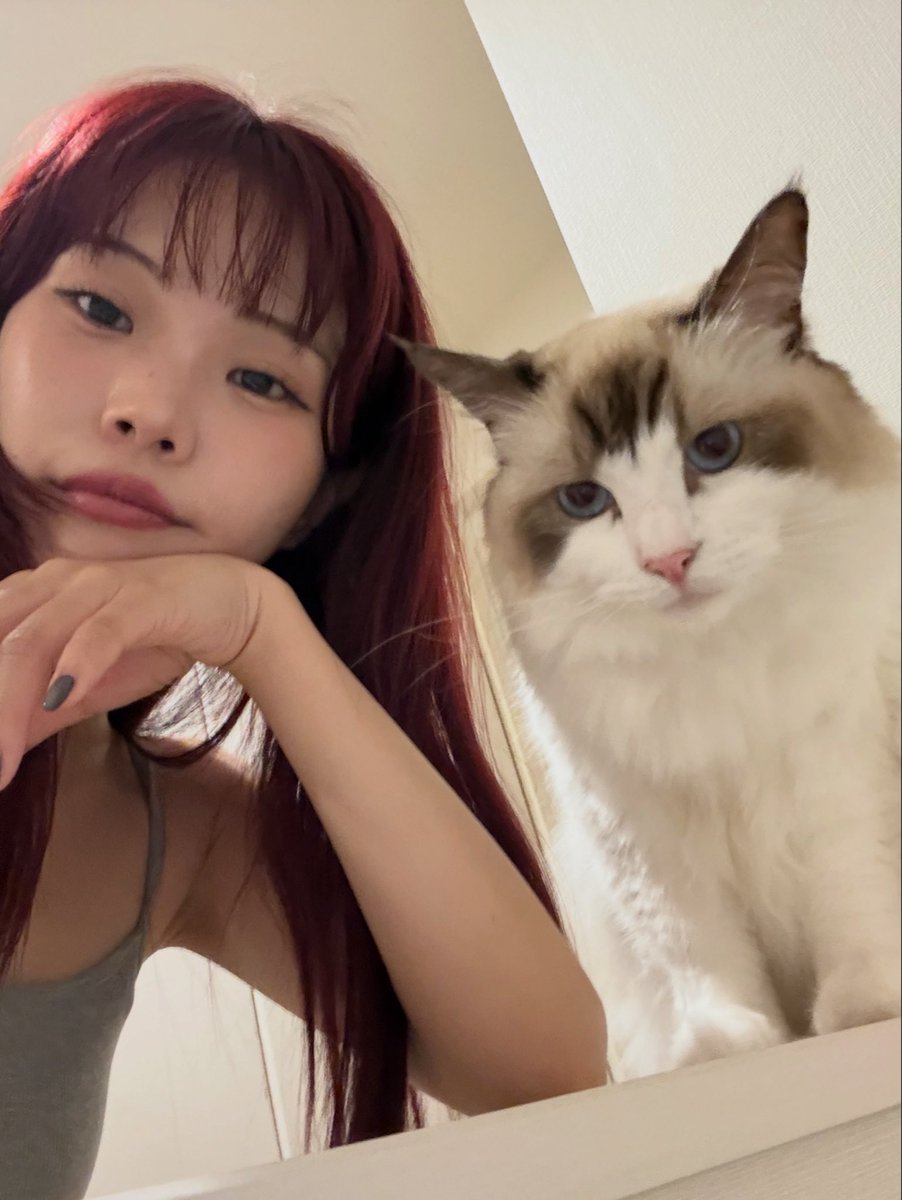 aina_BiSH's tweet photo. https://t.co/7wYJjVhwDE