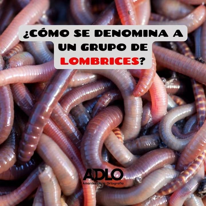sanketon2's tweet photo. Pregunta https://t.co/pLxH4eTjXt