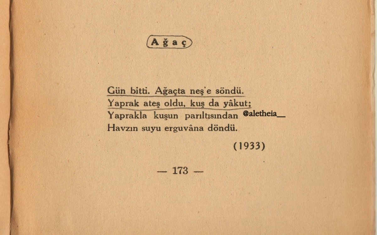 aletheia__'s tweet photo. Gün bitti. Ağaçta neş'e söndü. 
Yaprak ateş oldu, kuş da yâkut 

ahmet hâşim https://t.co/IUdgQTBpP3