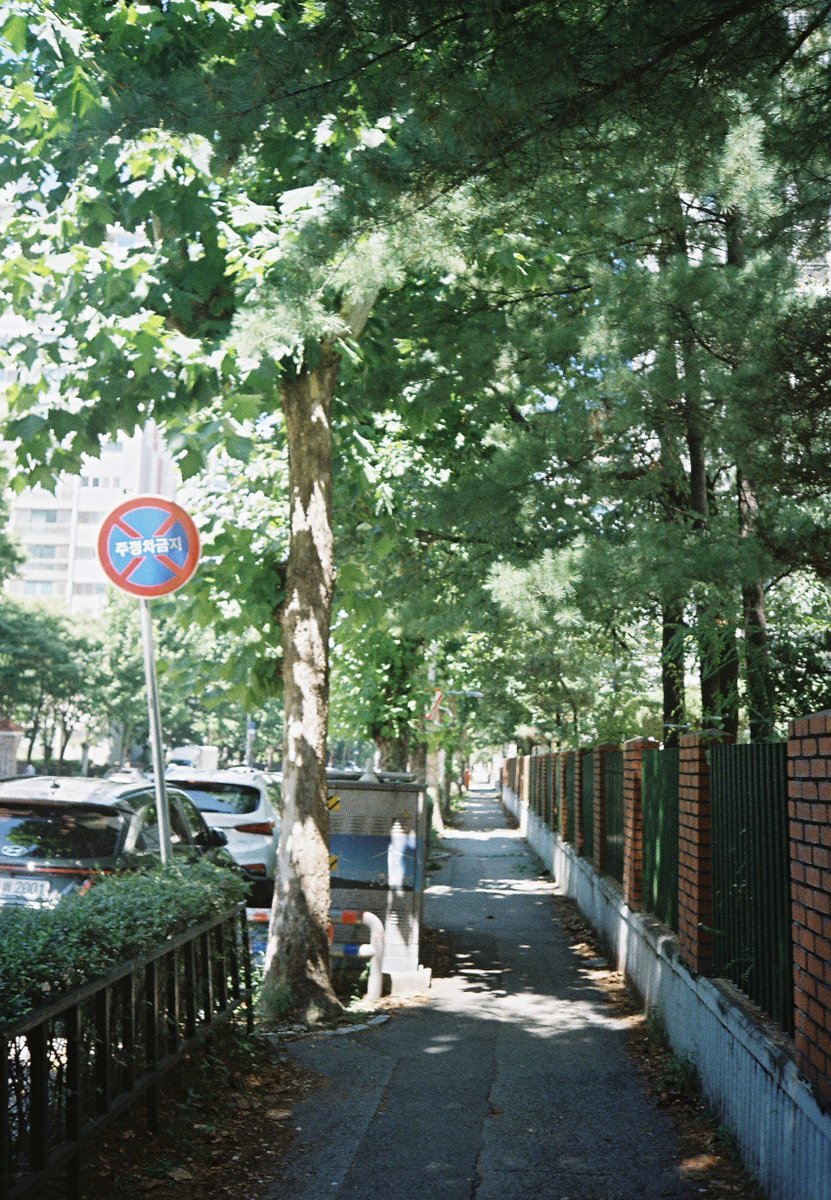 sasilddorae's tweet photo. 📸 MINOLTA X 700
📸 CANON IXY 10
📸 OLYMPUS AM 100
📸 IPHON 16 PRO https://t.co/kWUTvuw6gO
