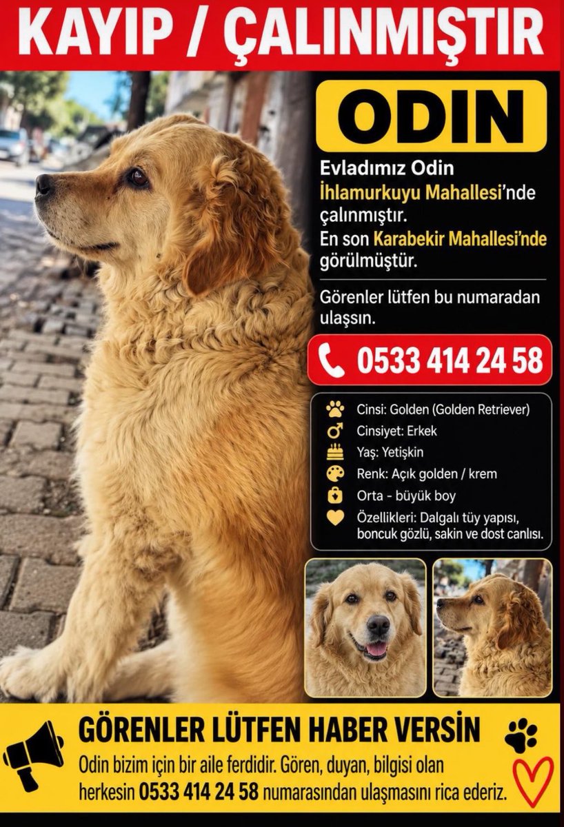 minnakmandalina's tweet photo. Ümraniye/Ihlamurkuyu gören duyan olursa KAYIP‼️‼️ https://t.co/4lW1wpSGmF