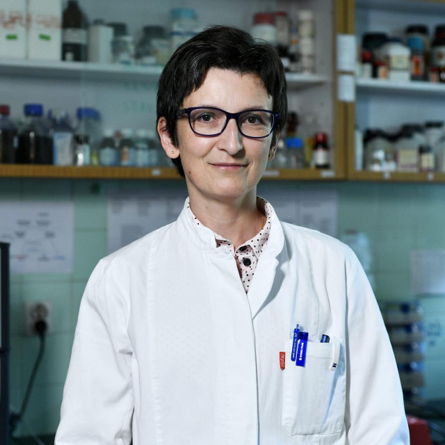 morellifit's tweet photo. This is the most insane cancer story I've ever read.

A Croatian virologist's breast cancer beat surgery and chemo, came back at stage 3B and started eating into her muscle.

She decided to cure her own cancer with an insane method.

And she did it successfully: (1/17) https://t.co/Lrk113Gauv