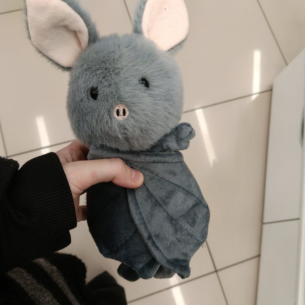 evchyss's tweet photo. Look who my bf gave me for nothing
And here he is and his older brother

Gray Khryusha (piggy) and white Skitalionok (This is Drifter in Russian, but it's a affectionate version of his name) https://t.co/piupgpeuab