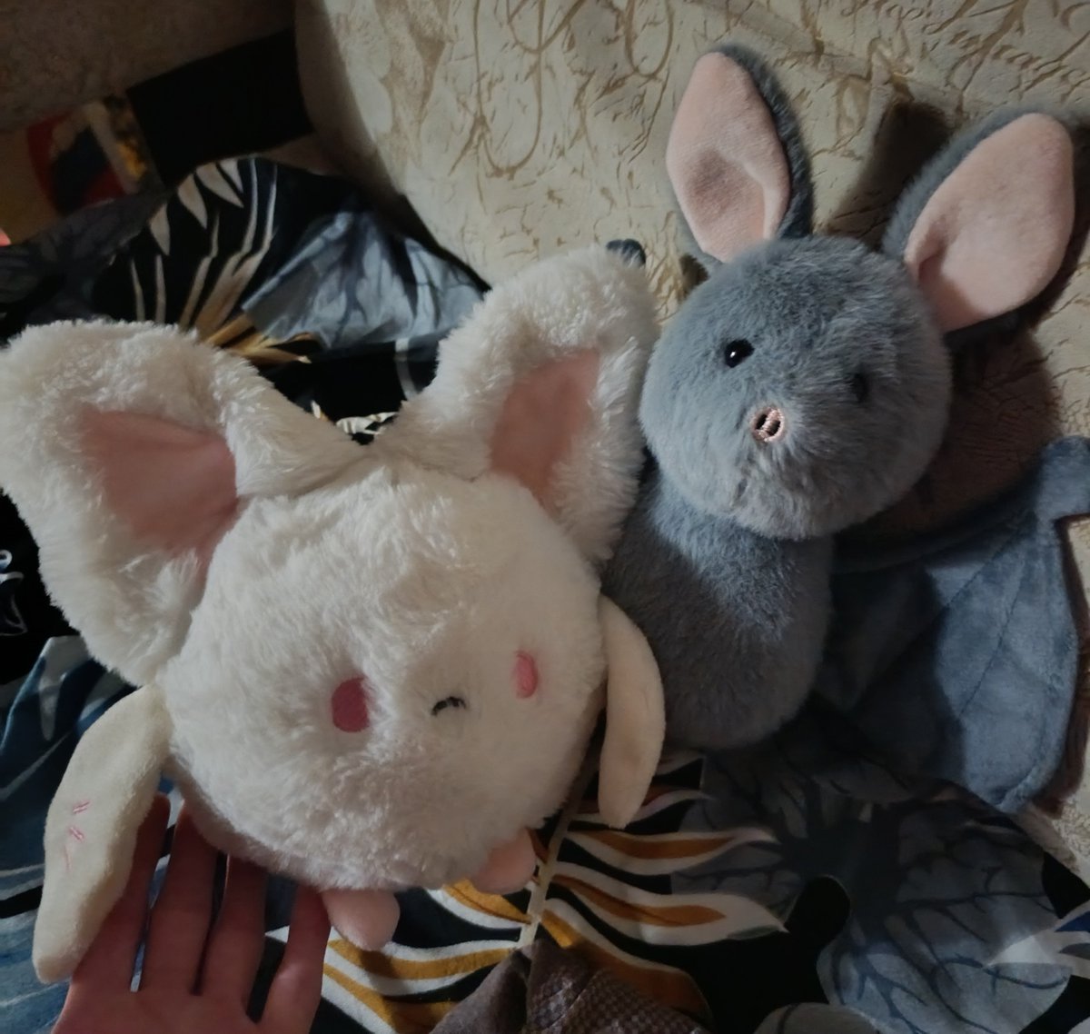 evchyss's tweet photo. Look who my bf gave me for nothing
And here he is and his older brother

Gray Khryusha (piggy) and white Skitalionok (This is Drifter in Russian, but it's a affectionate version of his name) https://t.co/piupgpeuab