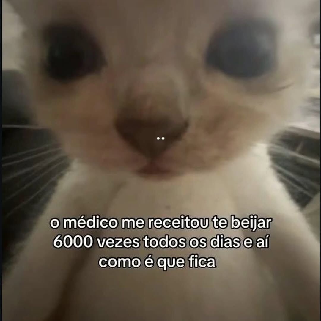 acervobichinho's tweet photo. https://t.co/5vGbOvdJEG