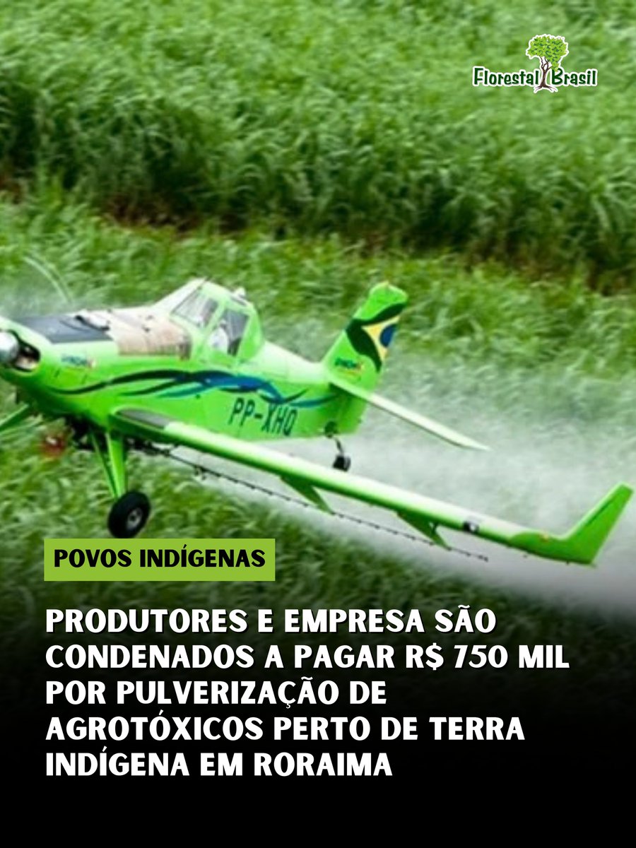 florestalbrasil's tweet photo. A Justiça Federal condenou dois produtores rurais e uma empresa de aviação agrícola ao pagamento de R$ 750 mil por danos morais coletivos à Comunidade Indígena Morcego, localizada na Terra Indígena Serra da Moça, em Boa Vista (RR).

Segundo o Ministério Público Federal, a Fazenda Paricarana fica a menos de 300 metros da comunidade, onde vivem indígenas Macuxi e Wapichana. As investigações identificaram cinco registros de pulverização aérea de agrotóxicos na região a partir de 2021.

O Ibama já havia fiscalizado a propriedade, aplicado multas e determinado a suspensão da atividade. Mesmo assim, segundo o processo, novas pulverizações foram registradas. As autuações ambientais chegaram a R$ 307,5 mil.

Moradores relataram ardência no corpo, dificuldade para respirar, dor de cabeça, náusea, coceira e irritação nos olhos após os episódios. O Distrito Sanitário Especial Indígena também registrou atendimentos que poderiam estar relacionados à exposição.

Um relatório do Ibama apontou ainda que uma roça comunitária dentro do território indígena foi atingida por agrotóxico, provocando perda da plantação.

Os réus negaram irregularidades e sustentaram que as aplicações seguiam as normas técnicas, além de contestarem a relação entre a pulverização e os problemas de saúde relatados.

A sentença, porém, considerou que autos do Ibama, relatórios de saúde e depoimentos reunidos no processo demonstraram a contaminação da área e o risco à população, aplicando os princípios da precaução e do poluidor-pagador.

Além da indenização, foi mantida a proibição de pulverizações aéreas na propriedade e nas proximidades da Terra Indígena quando realizadas em desacordo com as normas ambientais e de segurança.

A decisão é de primeira instância e ainda pode ser contestada por recurso.

Fonte: FolhaBV.

#agrotóxicos #povosindígenas #roraima #fiscalização #meioambiente
