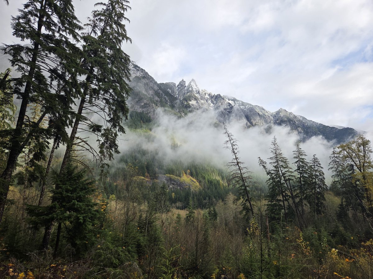 suspirant's tweet photo. Personally I love North Bend in the cold season. I try and get out there any weekend it's possible https://t.co/Y2MhLeRkuI