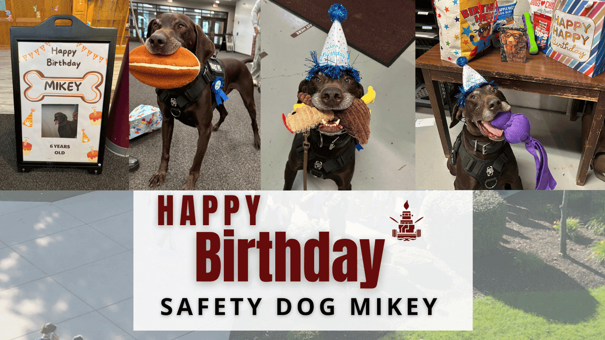 LockportHS205's tweet photo. 🐾 Happy 6th birthday to Safety Dog Mikey! Thank you, Mikey, for helping keep our Porters safe at East Campus.
#PorterPride https://t.co/ultEz3vuhF