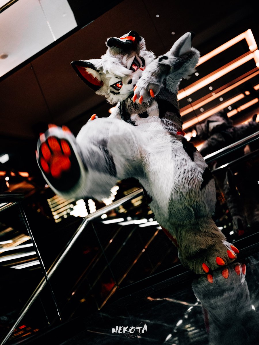 Anya_oOkami's tweet photo. またスマホいじってたら、蹴っ飛ばすぞ！

📷：@hinekota 

#FursuitFriday #万界通行 #wwpass https://t.co/vf7gpuNPnf