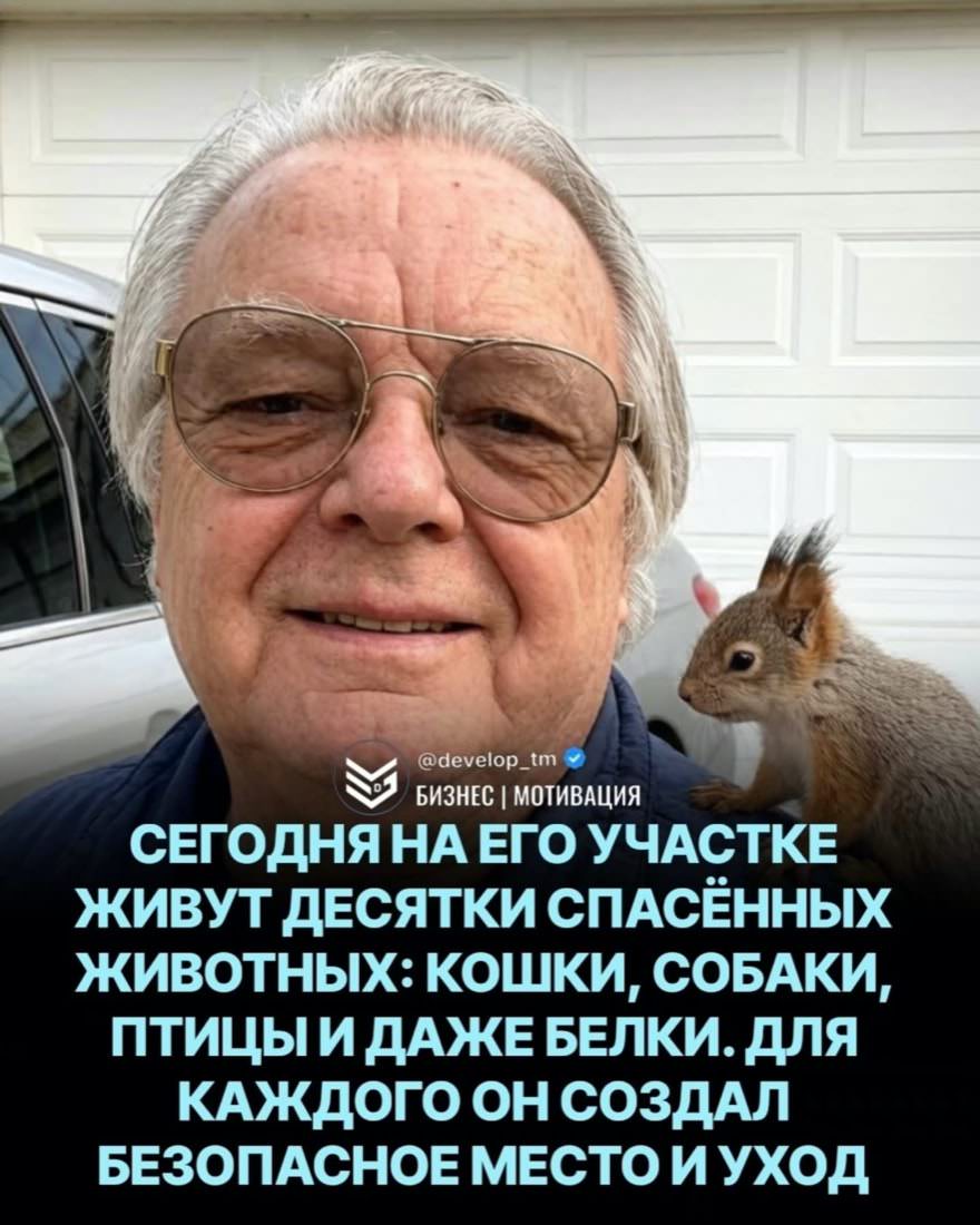 Cats_Parents's tweet photo. Доброта не всегда громкая и показная. Иногда она начинается с обычного решения - не отвернуться, помочь, взять на себя заботу. Для животного, которому негде укрыться и не на кого надеяться, такое решение может изменить всю жизнь.

И песни хорошие, правда, в старых аранжировках. https://t.co/WuU020VfA1