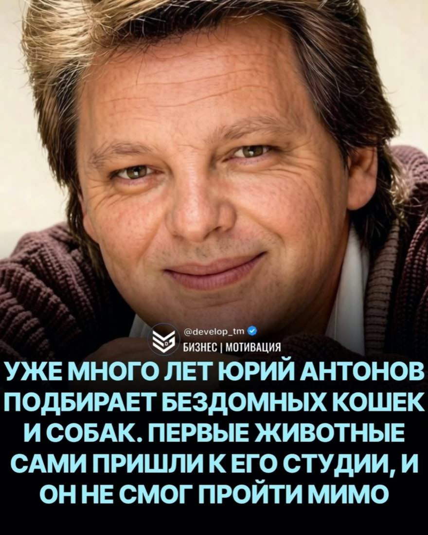 Cats_Parents's tweet photo. Доброта не всегда громкая и показная. Иногда она начинается с обычного решения - не отвернуться, помочь, взять на себя заботу. Для животного, которому негде укрыться и не на кого надеяться, такое решение может изменить всю жизнь.

И песни хорошие, правда, в старых аранжировках. https://t.co/WuU020VfA1