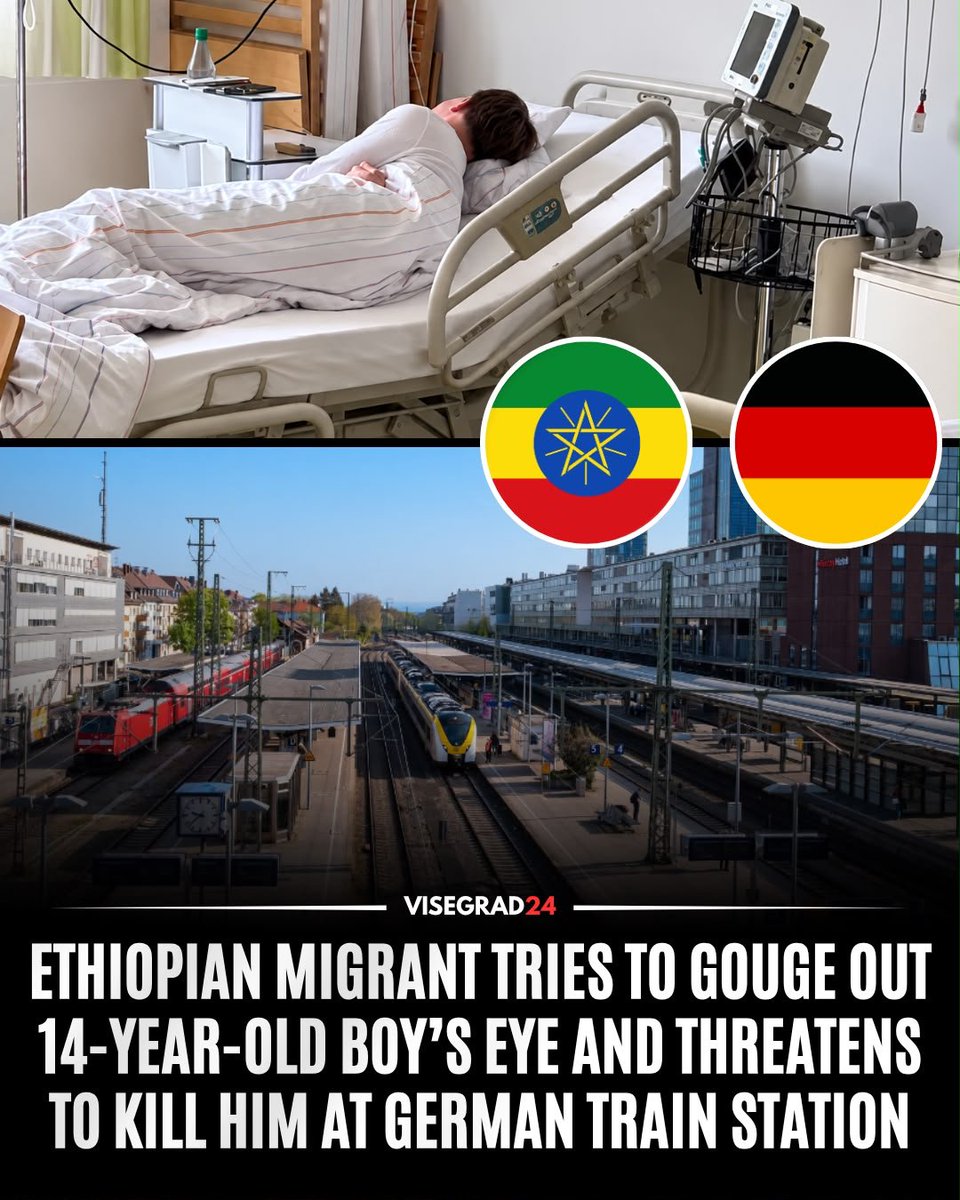 visegrad24's tweet photo. A 41-year-old Ethiopian migrant attacked a 14-year-old boy at Germany’s Freiburg Central Station, punching him in the face and sending him crashing head-first into a stone step before trying to gouge out his eye while shouting, “I’ll kill you!” The suspect, who was carrying a carpet knife and pepper spray, has since been released.

The teenager, Leon, was waiting for his father ahead of a fishing trip when the attack occurred. An Italian café owner saw what was happening and overpowered the attacker.

Leon was hospitalized with a bruised jaw, dizziness, nausea, and eye injuries. His father says he has been severely traumatized, is receiving psychiatric treatment, wakes up screaming at night and no longer wants to travel by train.

The Ethiopian suspect told police he had mistaken Leon for somebody else.