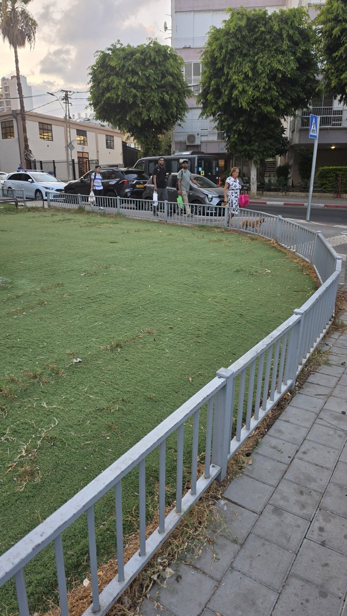 danbodanbod's tweet photo. למה לגדר את הדשג הסינטטי ?? @removefence https://t.co/sAIJxMCyco