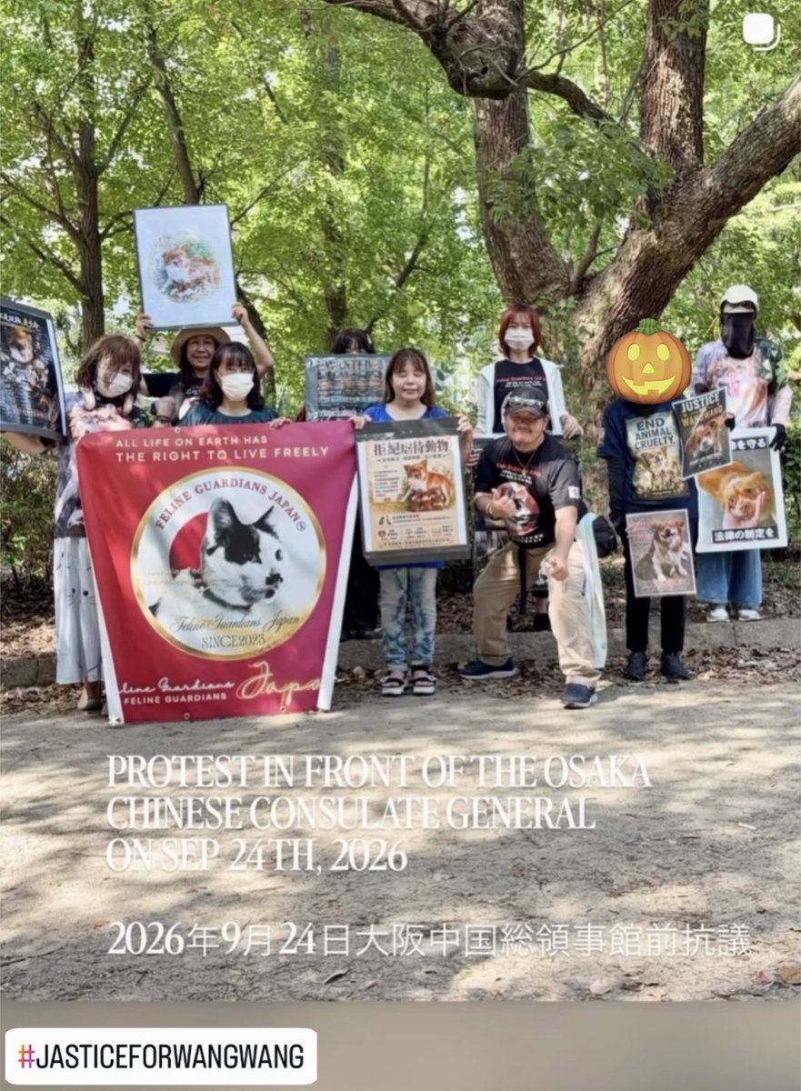 Lotta2202's tweet photo. 今日のお昼は中国領事館のデモ🥰

#旺旺に正義を
#JusticeForWangwangAndHerPuppies 
#Justiceforwangwangfamily 
#AnimalProtectionLawChina
#justiceforwangwang #wangwang 
#みーこ  #牛猫 
#EndAnimalCruelty #AnimalRights
#動物虐待反対 #動物愛護 https://t.co/EQIjwQxfcF