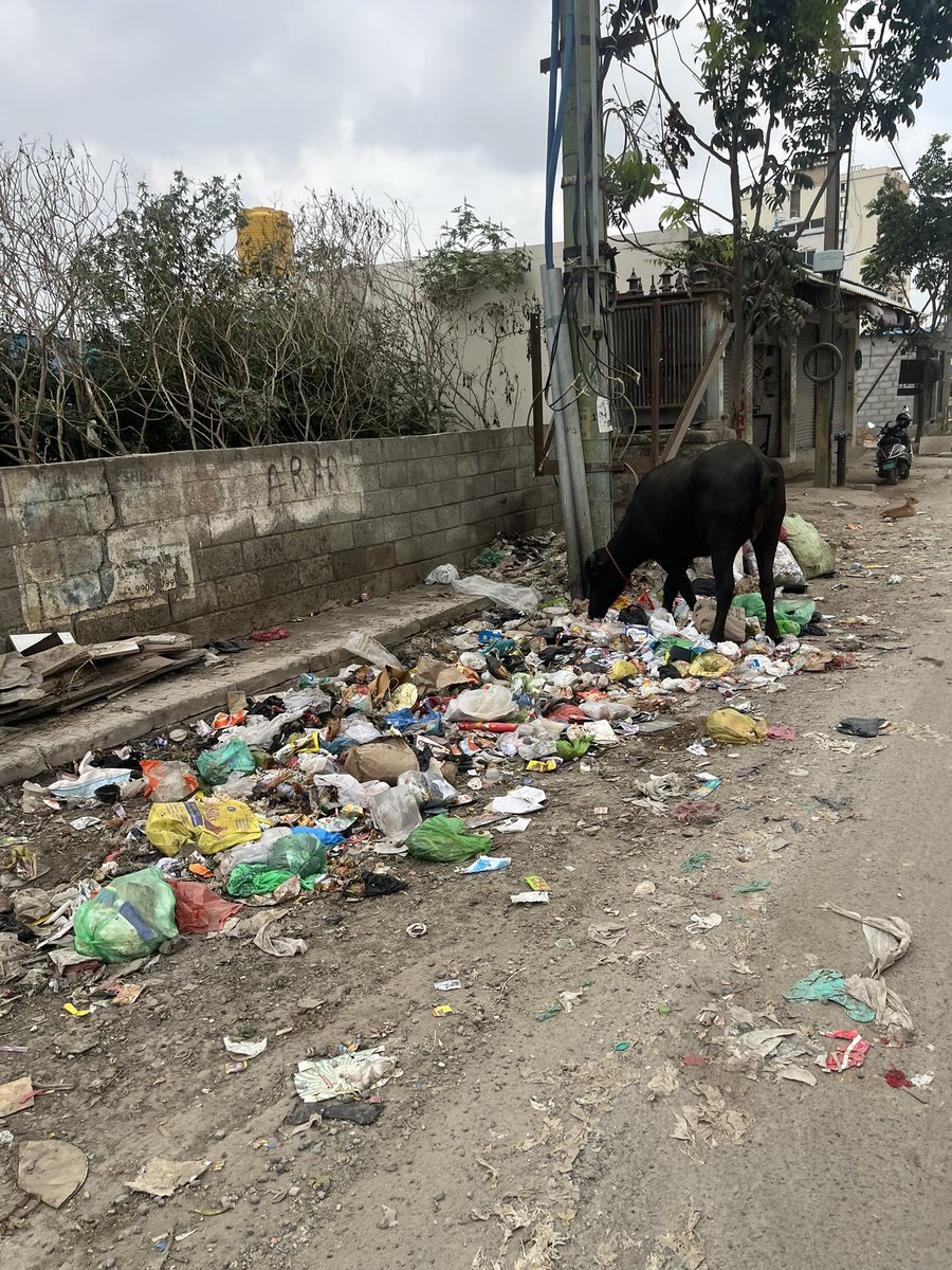 pratdebrat's tweet photo. @krishnabgowda  sir, this stretch in begur needs an urgent attention wrt garbage handling. 

This is stretch connected to manipal county road leading to Lake Point Tower Ave community &amp; beyond. 

https://t.co/8Jk5Hg5bg9

@GBA_office https://t.co/pTkRXD2pPJ