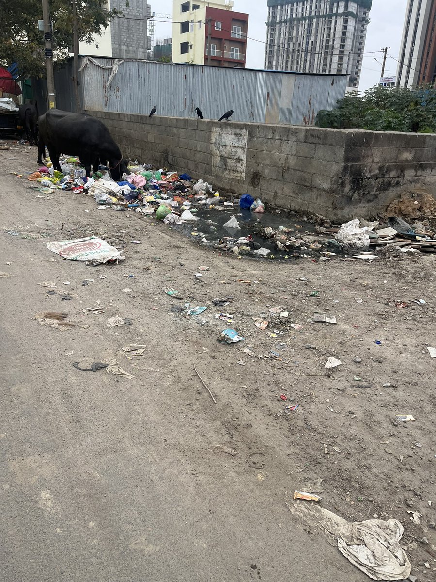 pratdebrat's tweet photo. @krishnabgowda  sir, this stretch in begur needs an urgent attention wrt garbage handling. 

This is stretch connected to manipal county road leading to Lake Point Tower Ave community &amp; beyond. 

https://t.co/8Jk5Hg5bg9

@GBA_office https://t.co/pTkRXD2pPJ